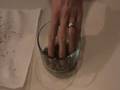 videos de Cricket Cookies high res large.wmv
