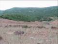 videos de Goma Avdelan.wmv