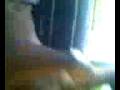 videos de EDGARDO(TETON) PINGUE DE PEA 3