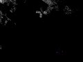Abstract Test #1