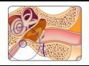 eardoc relief of ear pain