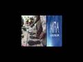 Ver Video