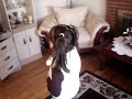 jadene singing a second song