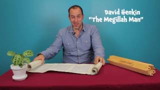 The Purim Megillah: For Kids!