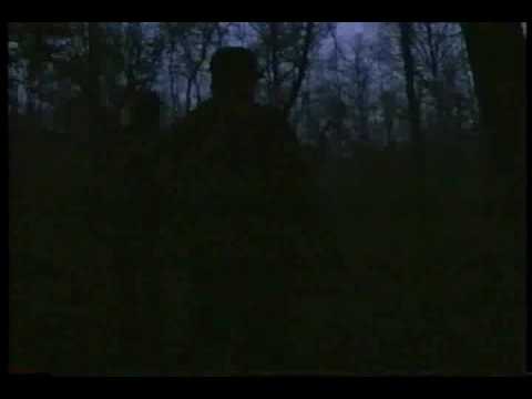 Locating Wild Turkeys