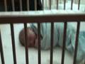 videos de Nursery