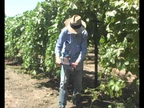 how to measure osmotic potential