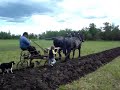 draft horse plowing