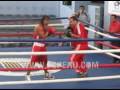 Seminario de Boxeo para entrenadores 5/6