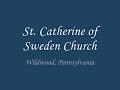 Homily 05/11/08 Part 2