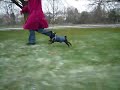 On the run with Bobbie and Annie