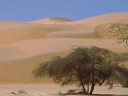 africa race retour aux origines du rallye raid.html