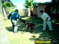 Sancho