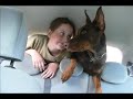 Doberman Eria Pro Timur Taurus - progeny