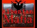DON'T FUCK WITH ALBANIAN
