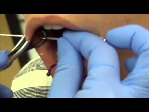 Dahlia Piercings Performed By: Andi Smith
