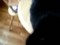 videos de Annabelle
