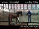 A Mustang Story - \"Gaining Confidence\" (Episode 4) A Mustang Story - \"Gaining Confidence\" (Episode 4)