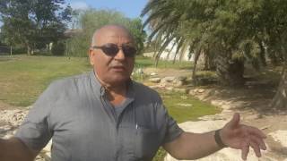 البروفيسور مصطفى كبها - عين ماء قرية وادي القباني المهجرة قضاء طولكرم البروفيسور مصطفى كبها - عين ماء قرية وادي القباني المهجرة قضاء طولكرم