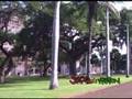 10-01-08 Downtown Honolulu