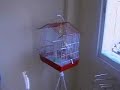 casa nueva parte 6