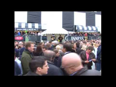 racing results cheltenham