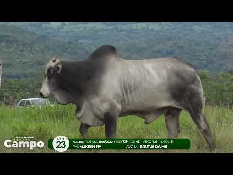 1 De Olho na Fazenda SELEO DO CAMPO