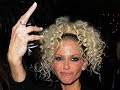 Sarah Harding - Real Wild Child