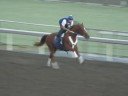 Curlin Work 10/6/08 Curlin Work 10/6/08