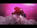 MGS4: Pieuvre Armement