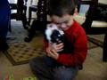 Darcy and Brother