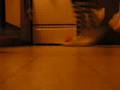 My Montage 7/24/08