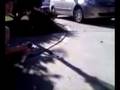 videos de bug spray flamethrower