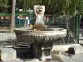 Amatrice - Sagra degli spaghetti all\ Amatrice - Sagra degli spaghetti all\