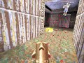 [SK]Kane vs [QPD]Timber DM4