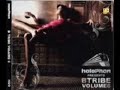 B-Tribe Vol 06 - Hasta Luego Goodbye 2008