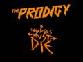 videos de Interview with Liam Howlett on Kiss 100 about new Prodigy Album and EP