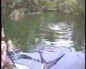 16kg on the float