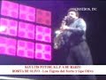 ROSITA DE OLIVO / LOS TIGRES Y GPE OLIVO ROSITA DE OLIVO / LOS TIGRES Y GPE OLIVO