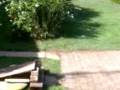 videos de random sesh on kicker
