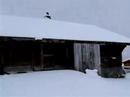 wintermaanet ii