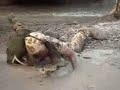 Los ingleses invaden Espa�a