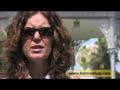 Bermuda Yellow Pages Online