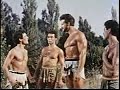 Hercubush