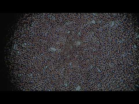 Imagen de previsualización de YouTube