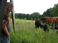FrogBlog 24