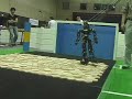 Humanoid robot \
