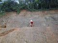 Paredao No Warko