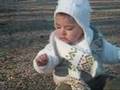 persian baby diaco !!!