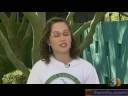 Cancer Survivor - Phoenix Children\